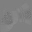 Gallbladder Gall Bladder