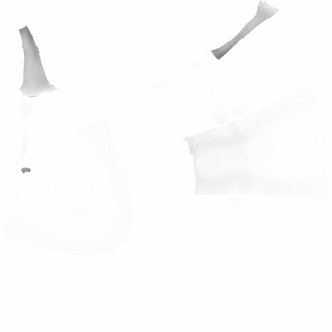 human gall bladder model https://p.turbosquid.com/ts-thumb/3V/NvR5pk/TKMT7Edp/mucosaambocc/jpg/1494684689/1920x1080/fit_q87/448e7b8fc7b9eb5993f80d534d2a2ad295327560/mucosaambocc.jpg
