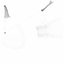 Gallbladder Gall Bladder