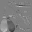 Gallbladder Gall Bladder