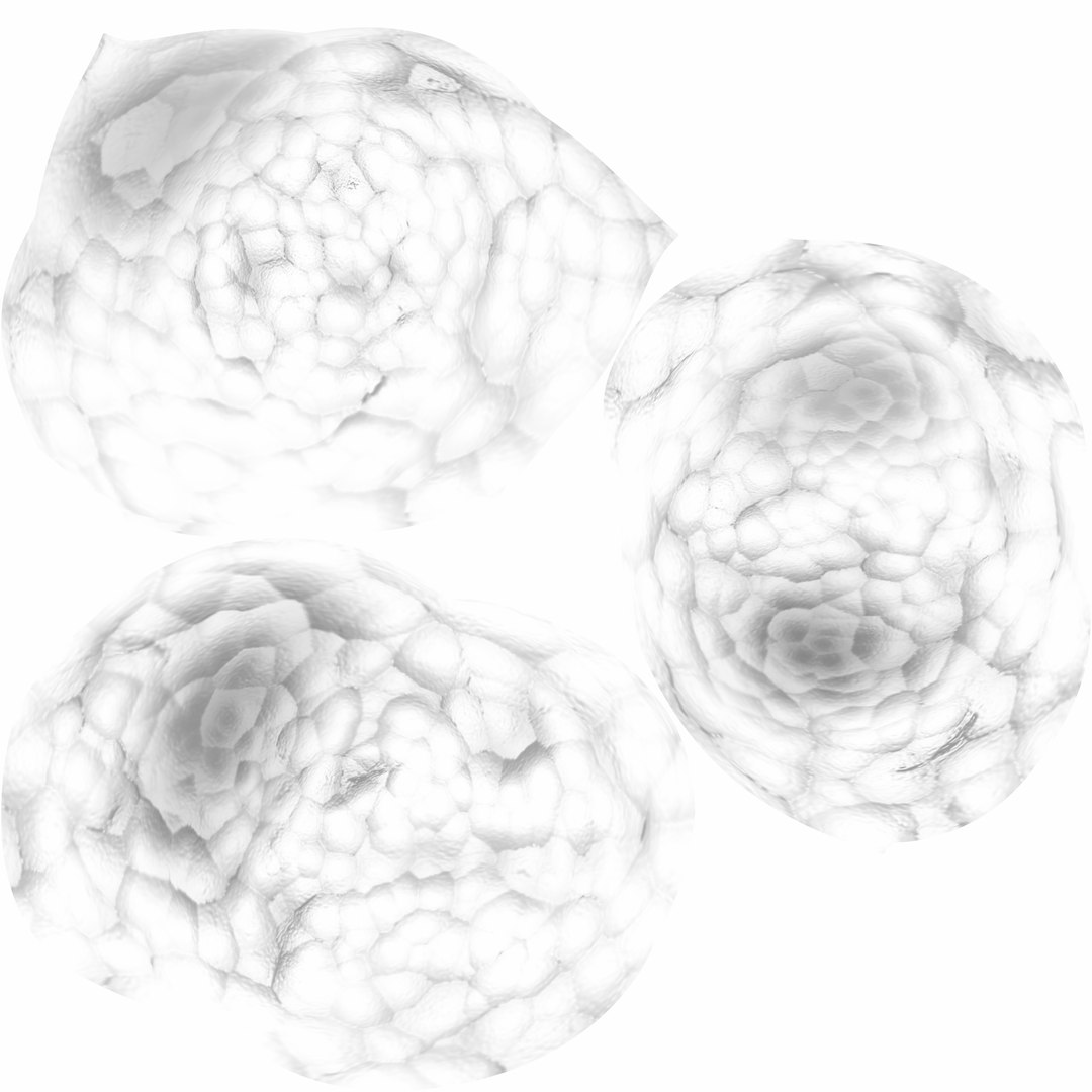 human gall bladder model https://p.turbosquid.com/ts-thumb/3V/NvR5pk/lv6gUyTW/stonesambocc/jpg/1494684689/1920x1080/fit_q87/6f289de45424bc2e45afba6ad4b15f0fd6b321de/stonesambocc.jpg