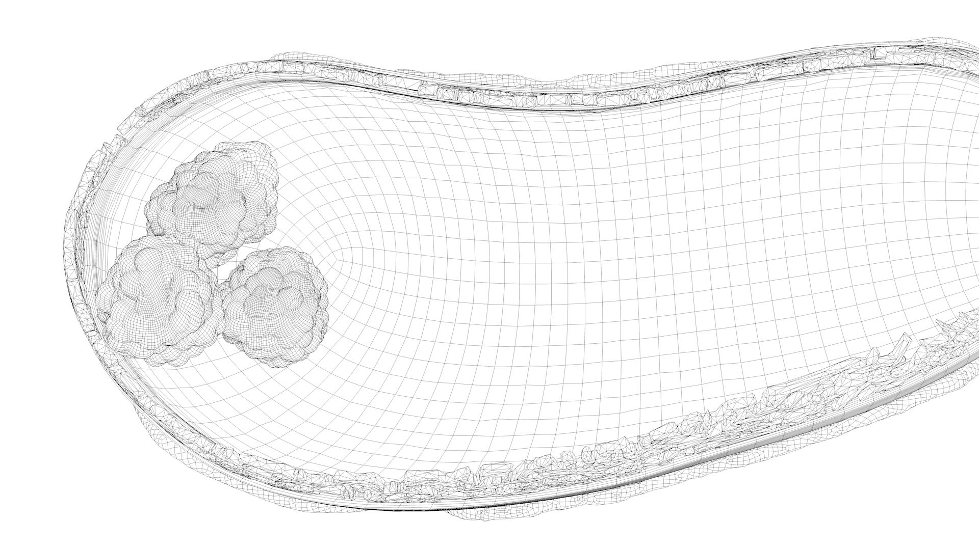 human gall bladder model https://p.turbosquid.com/ts-thumb/3V/NvR5pk/sF1Kn1V4/bladderturn08/jpg/1494685167/1920x1080/turn_fit_q99/20544c5c03db9627dec3c376f912b1f76afb73a9/bladderturn08-1.jpg