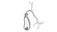 Gallbladder Gall Bladder