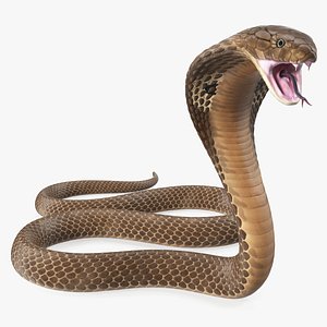 3D model beige cobra attack pose