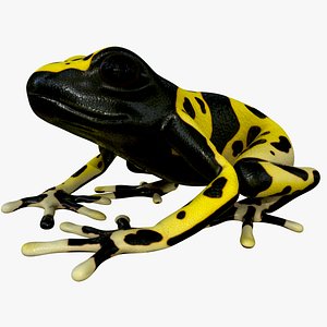 3D realistic yellow-banded poison dart