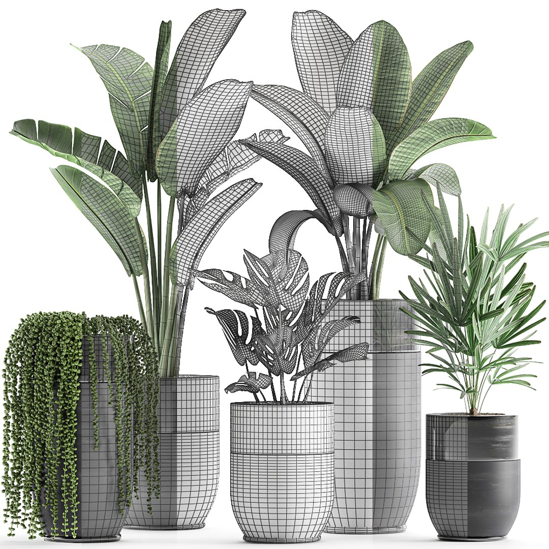 3D plants interior black houseplants model https://p.turbosquid.com/ts-thumb/3V/nfuBAj/BvnAVPdu/plants2109202007/jpg/1600855211/1920x1080/fit_q87/bfa5d3d4f2b49bc5c6f36499fa5326f7e6ab4da7/plants2109202007.jpg
