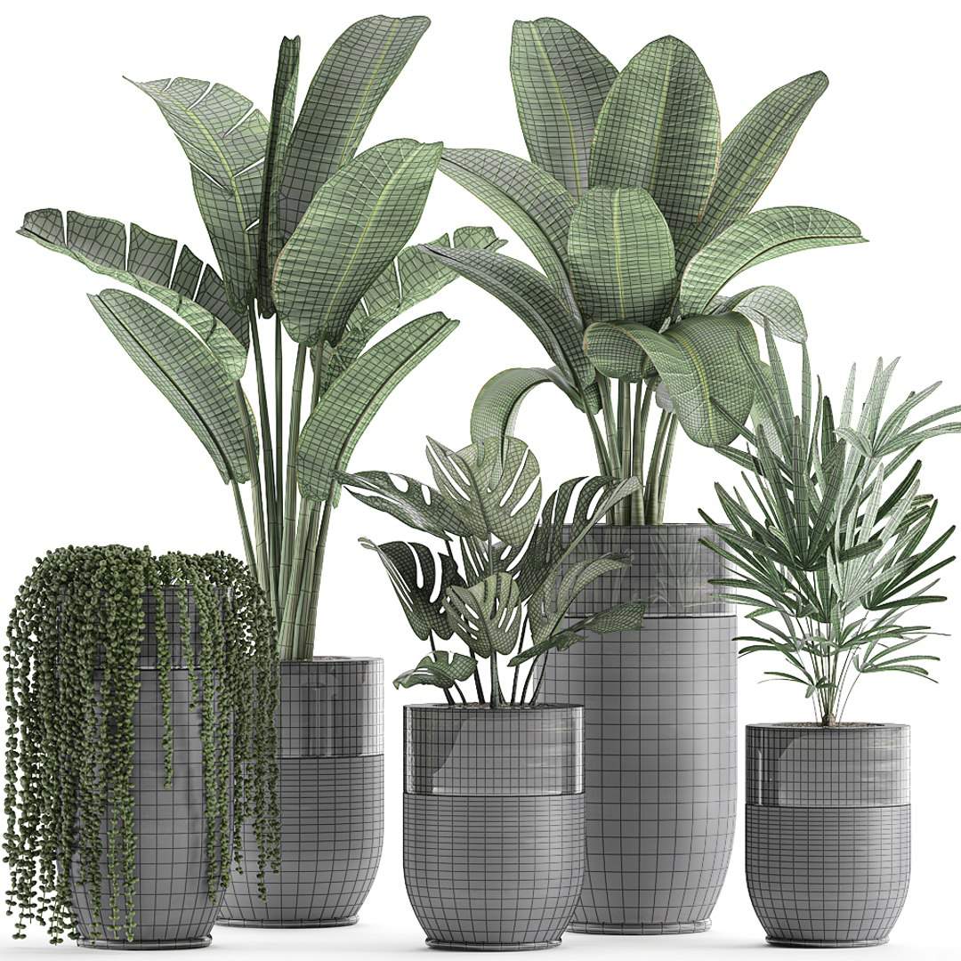 3D plants interior black houseplants model - TurboSquid 1625011