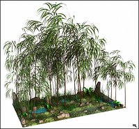 Bambu Tree Landscape