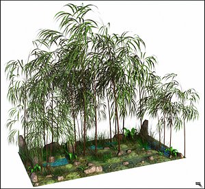 Bambu Tree Landscape