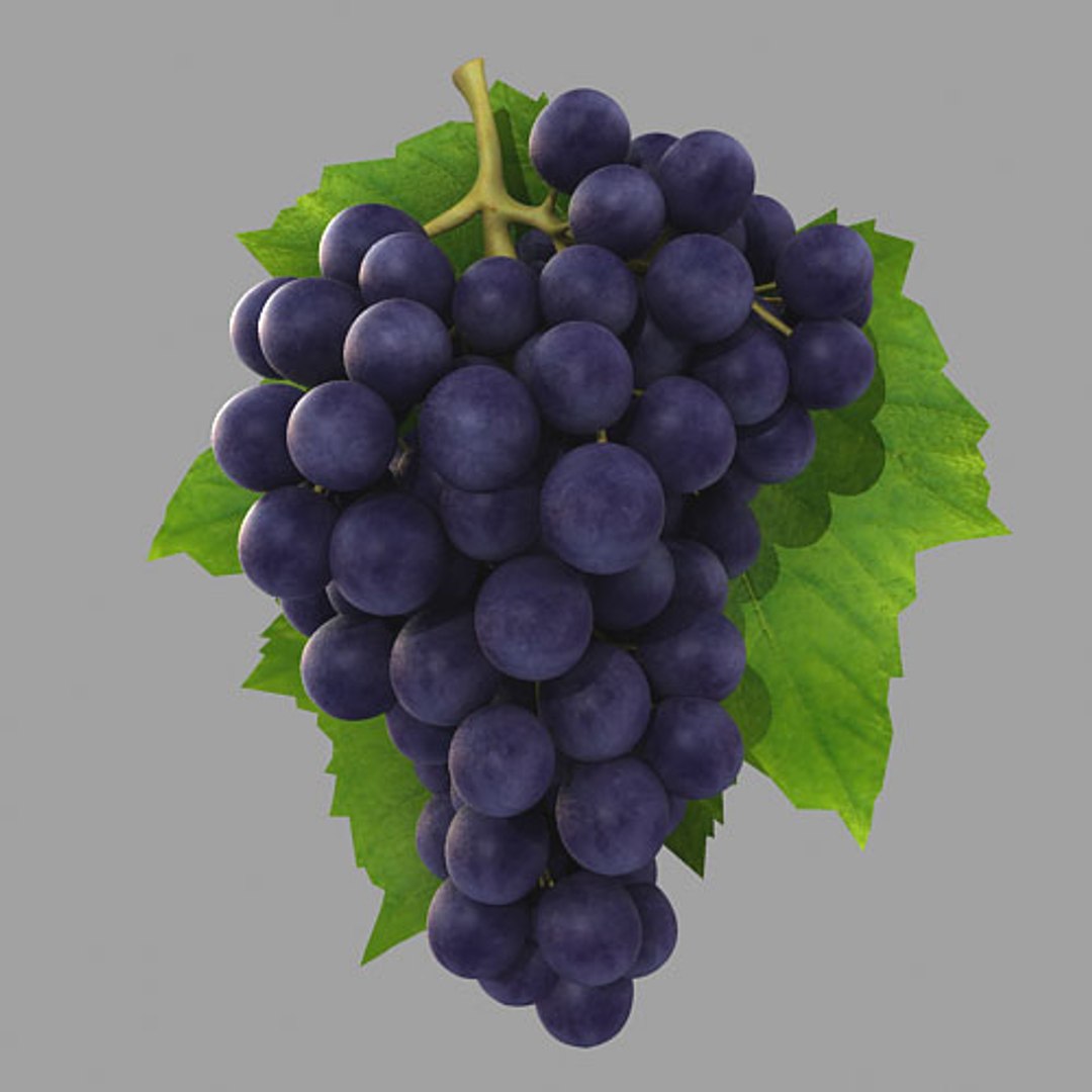 Grape Fruit 3d Model