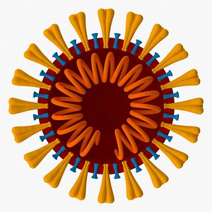 Coronavirus v3 Cross Section