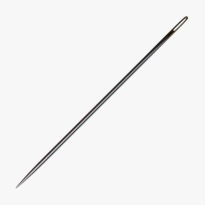 Needle