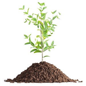 3D model 3d seedling in soil vol 257-3dsmax-Blender