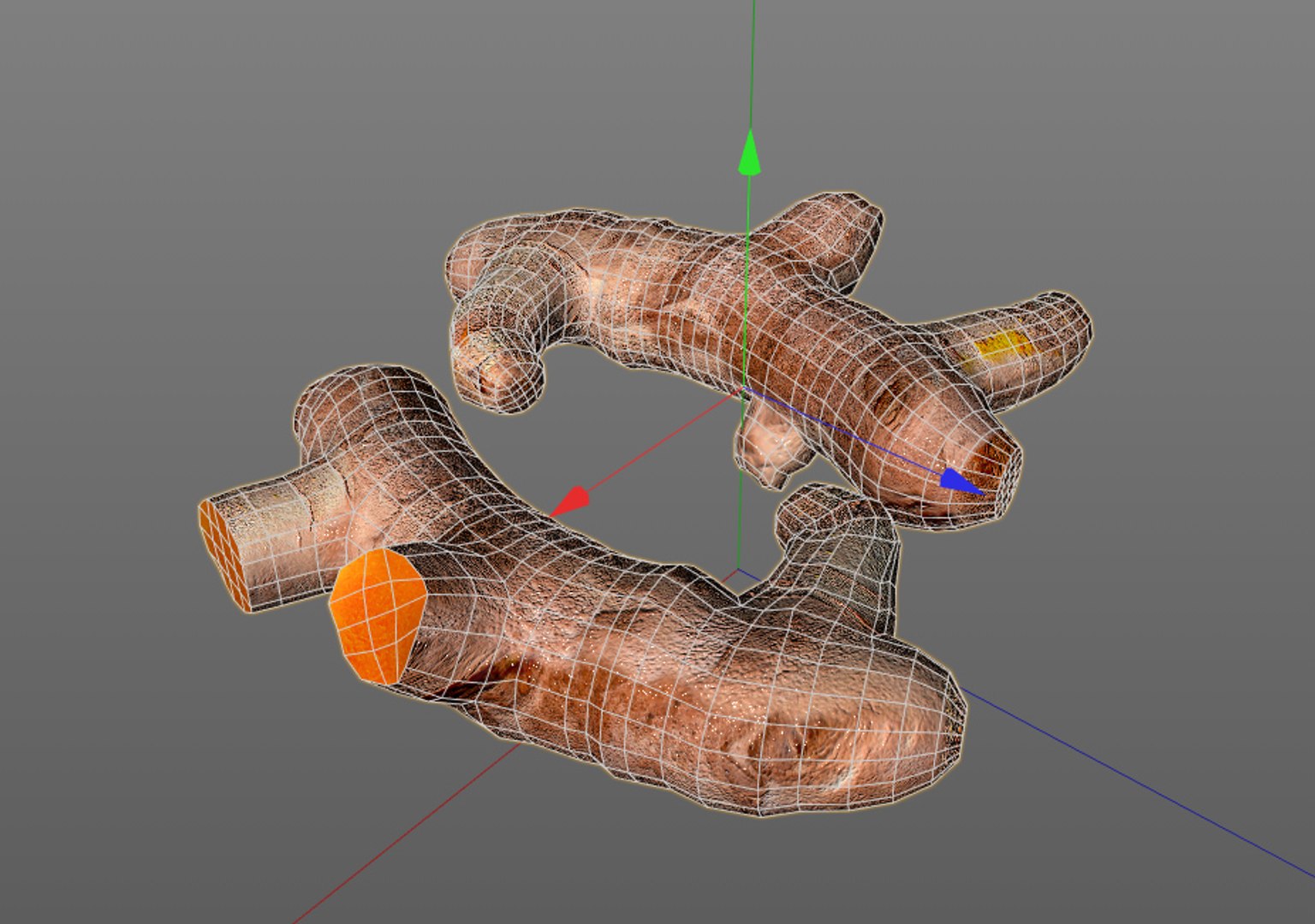 3D Turmeric - TurboSquid 1544612