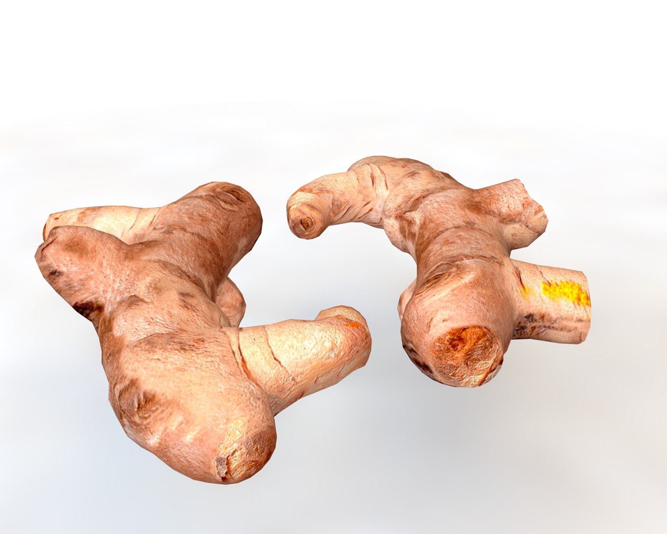 3D Turmeric - TurboSquid 1544612