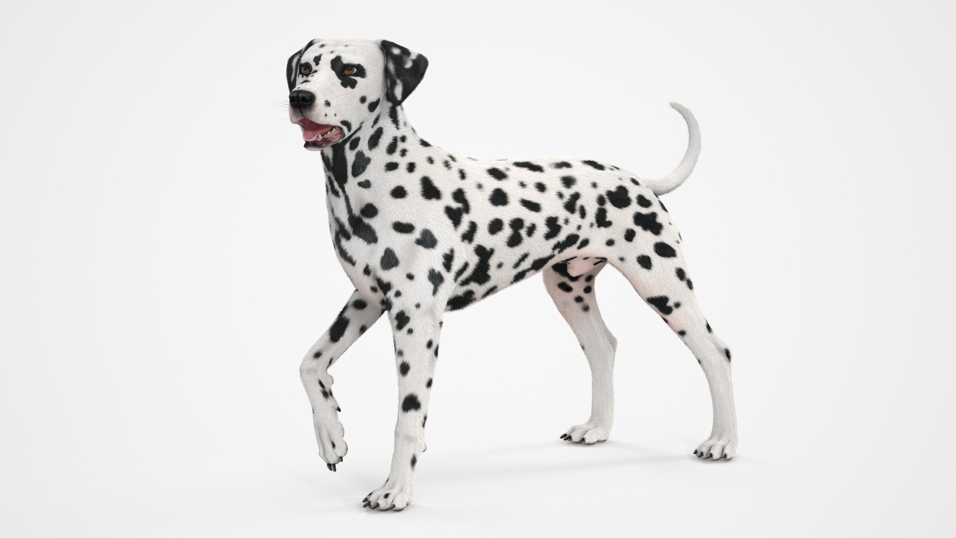 Spotted Standing Dalmatian Dog Fur 3D model preview