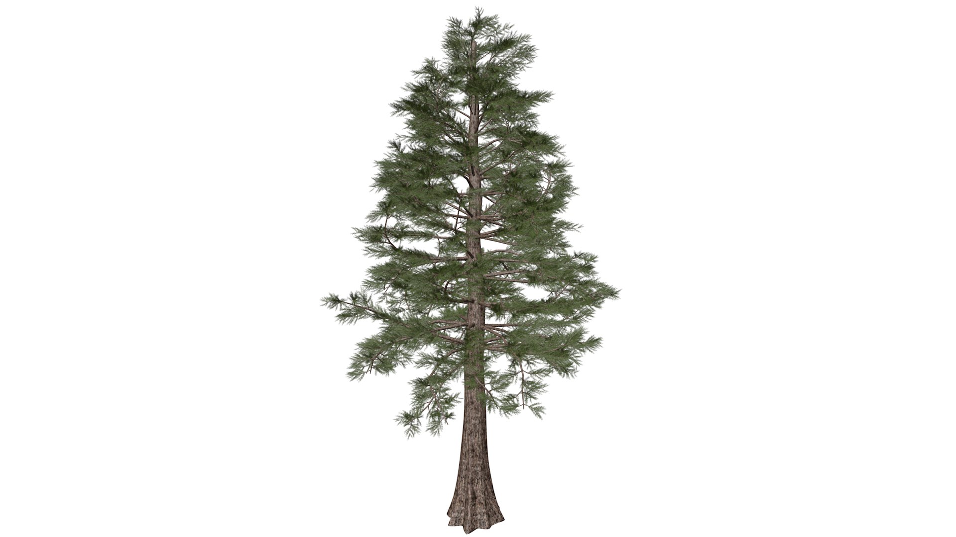 Western Red Cedar Tree Collection 3D https://p.turbosquid.com/ts-thumb/3W/eYFUQ1/H7/westernredcedar_high30/png/1779223167/1920x1080/fit_q87/96c1ad0e1491c4ffaa90578459c508679f097b7e/westernredcedar_high30.jpg