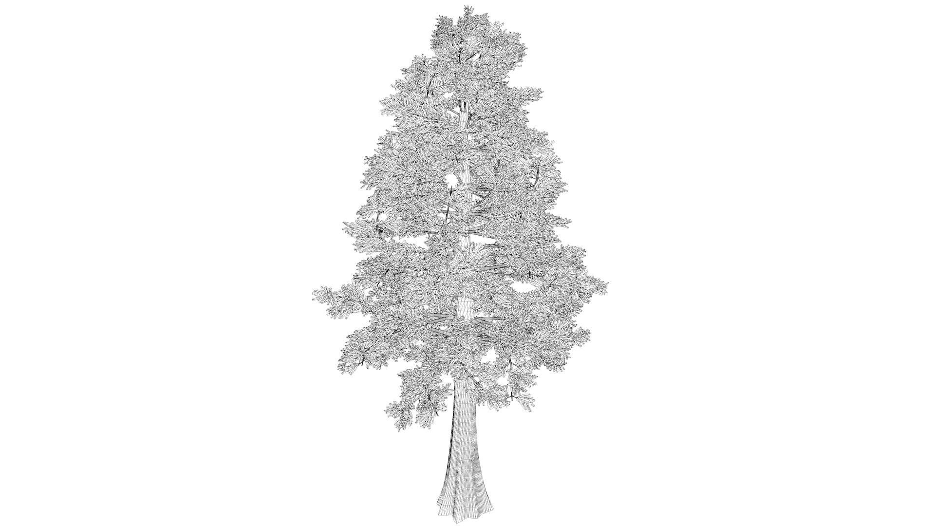 3D Western Red Cedar Tree - 07 - - TurboSquid 2374160