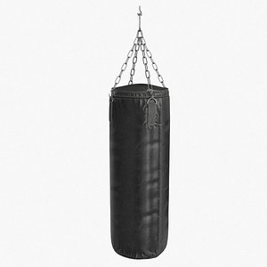 3D model Boxing Punching Speed Bag v2