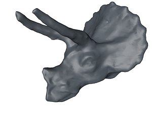 3d triceratops head base mesh model