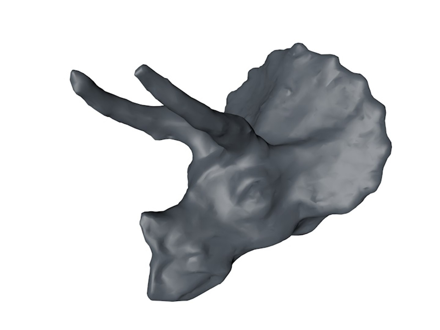 3d triceratops head base mesh model https://p.turbosquid.com/ts-thumb/3W/gL3S56/MtTeRupE/tri2/jpg/1465733243/1920x1080/fit_q87/ba074e62680f609cc8ffea35eff560824ab21633/tri2.jpg
