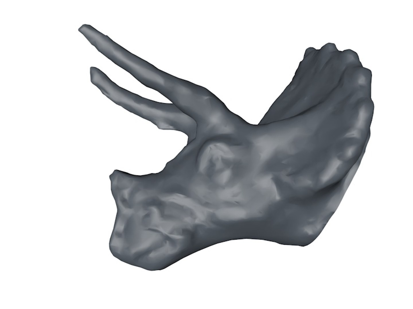 3d triceratops head base mesh model https://p.turbosquid.com/ts-thumb/3W/gL3S56/YLf1qMN6/tri3/jpg/1465733243/1920x1080/fit_q87/a702edcb77c81f46e79681251dea8358bc54f33f/tri3.jpg
