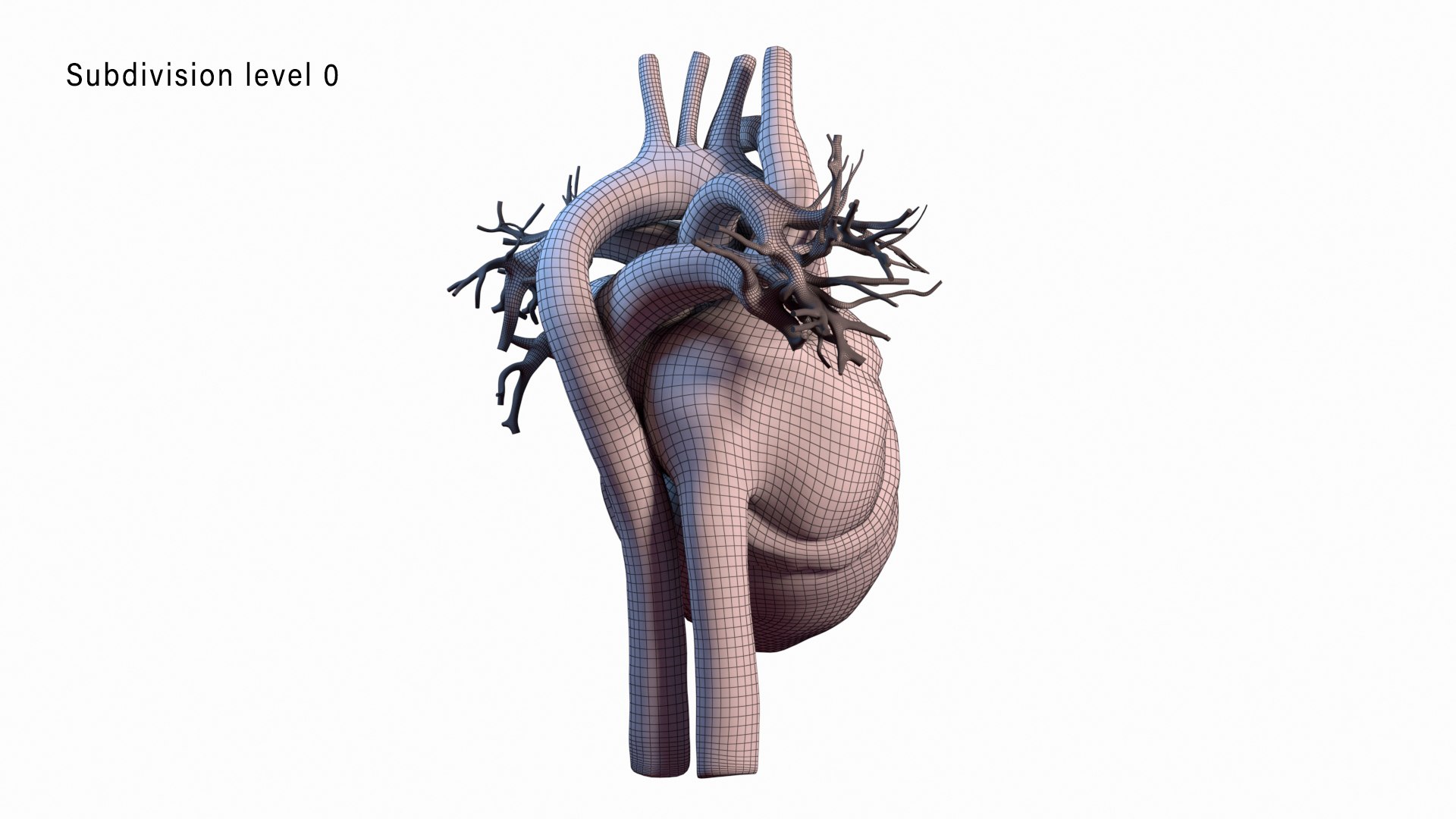 human heart animation 3D model https://p.turbosquid.com/ts-thumb/3W/l8AaN1/WA3cON34/wire2_level0/jpg/1585644163/1920x1080/fit_q87/bd9b7500c779801efbac5d959e06044f8b06adc1/wire2_level0.jpg