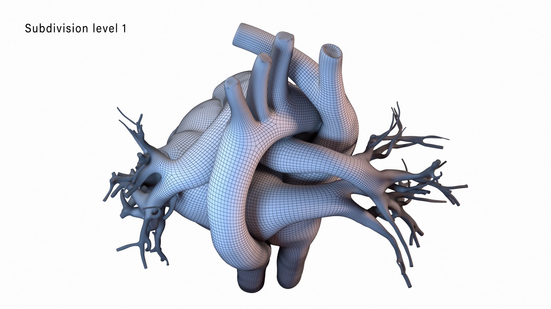 human heart animation 3D model https://p.turbosquid.com/ts-thumb/3W/l8AaN1/mN58tpkk/wire3_level1/jpg/1585644615/1920x1080/fit_q87/8feea76ff6840e5df5375fd695fa52f800c20e8a/wire3_level1.jpg