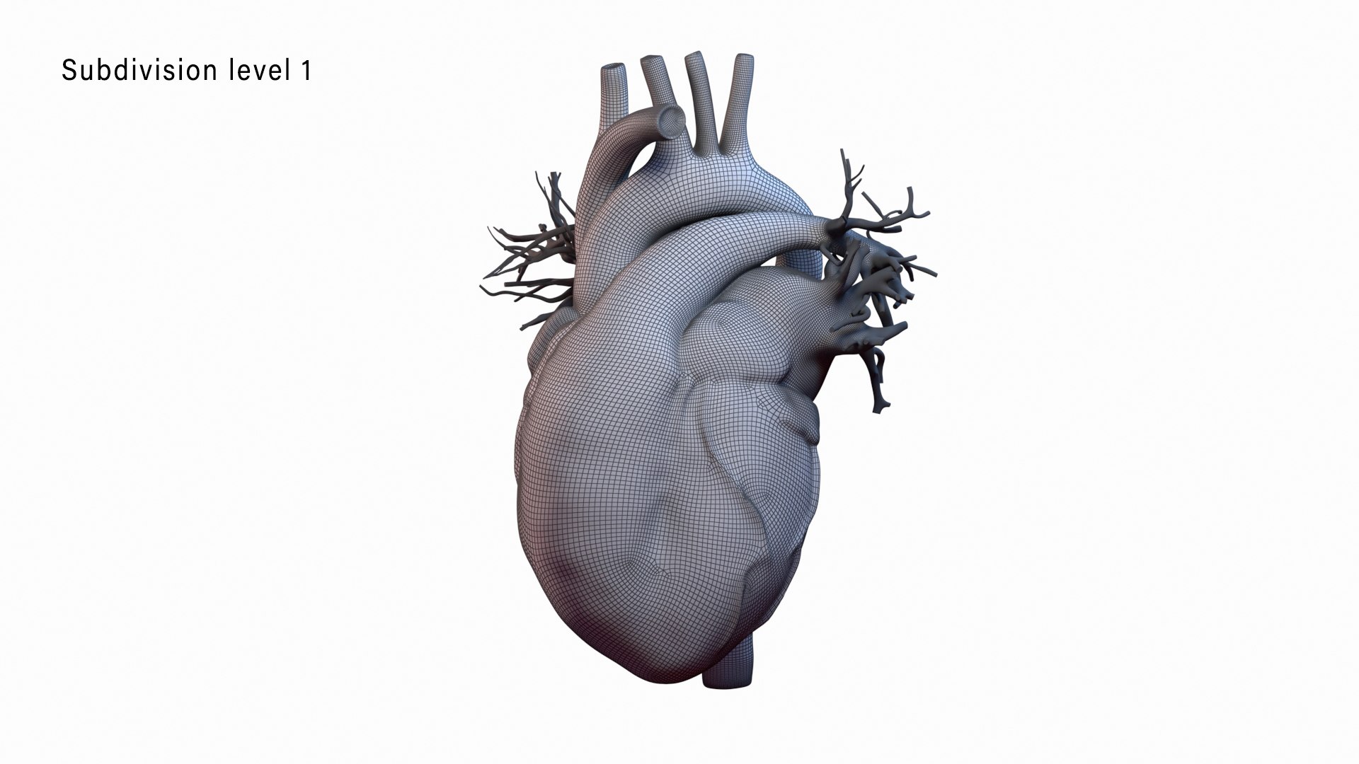 human heart animation 3D model https://p.turbosquid.com/ts-thumb/3W/l8AaN1/mP3m3Fw8/wire_level1/jpg/1585643360/1920x1080/fit_q87/e48c3fd55692b61cb3a5e47e5fbcba8ae1904774/wire_level1.jpg