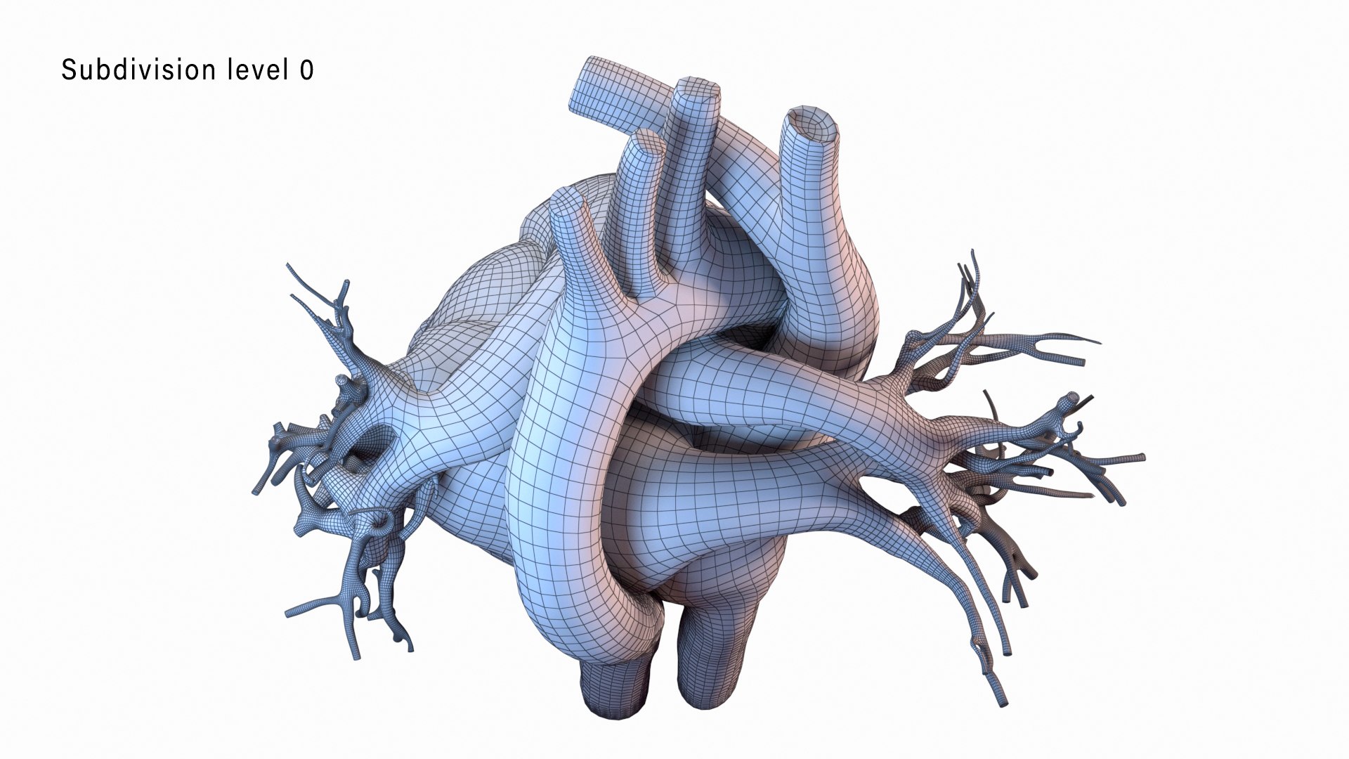 human heart animation 3D model https://p.turbosquid.com/ts-thumb/3W/l8AaN1/y6lDxfb9/wire3_level0/jpg/1585644616/1920x1080/fit_q87/5a712445d545eca85b164354509d6d1cdfa06f76/wire3_level0.jpg