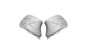 3D wings