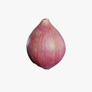 3D Anydrafts Allium cepa 01