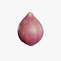 Anydrafts Allium cepa 01