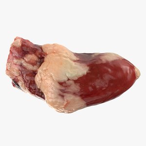 3D Chicken Heart 01