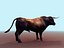 Bull