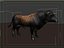 Bull