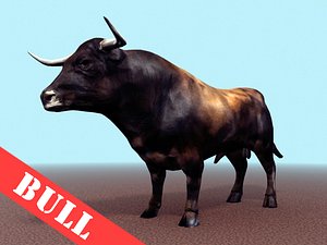 Bull