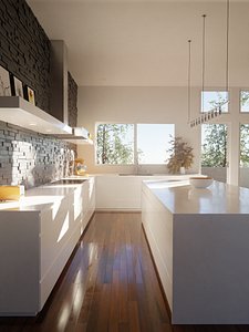 Modern Kitchen Remodel