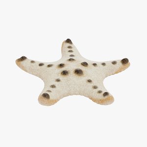 3D chocolate chip starfish rigged model