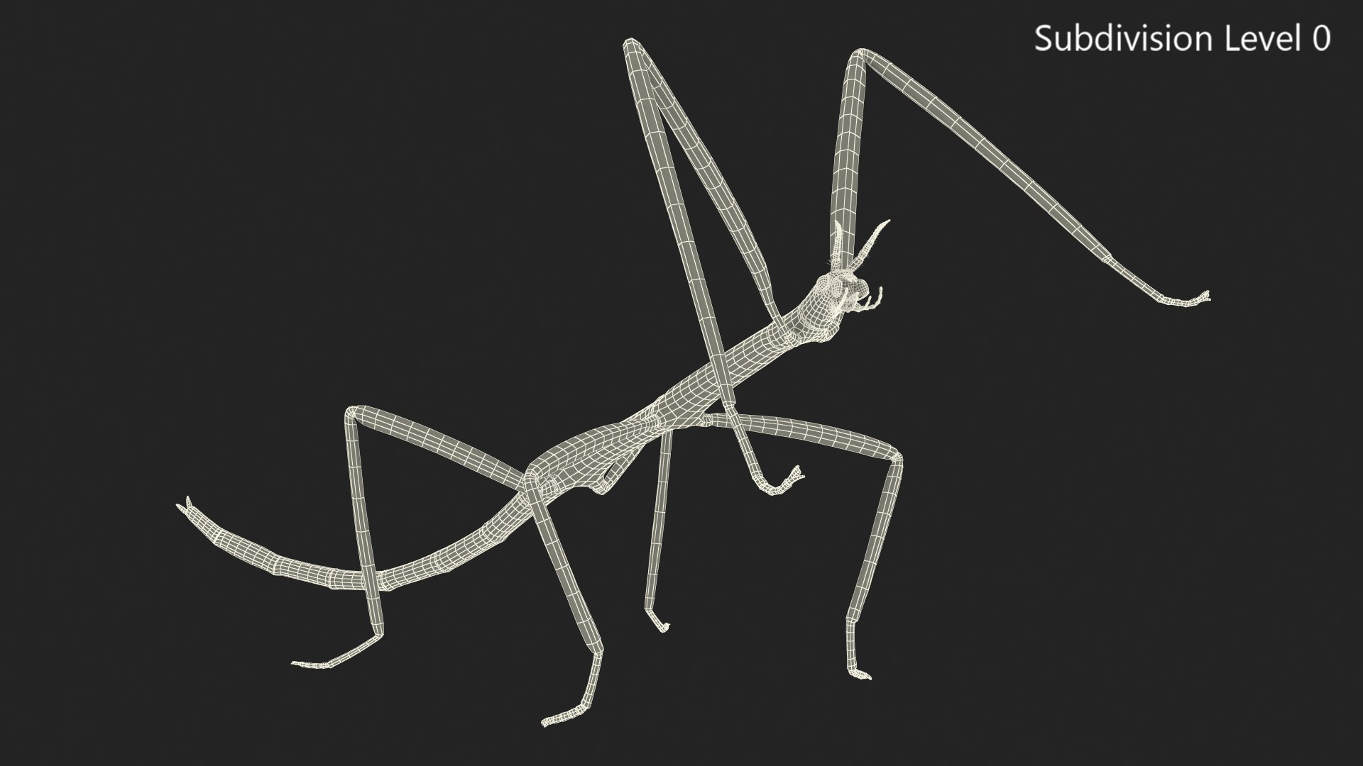 3D phasmatodea stick insect rigged https://p.turbosquid.com/ts-thumb/3X/DSi5CW/kWGtZcCS/phasmatodeastickinsectriggedc4dmodel023/jpg/1579164701/1920x1080/fit_q87/a0846252c931aad7e41697b8d8faf3449084a163/phasmatodeastickinsectriggedc4dmodel023.jpg