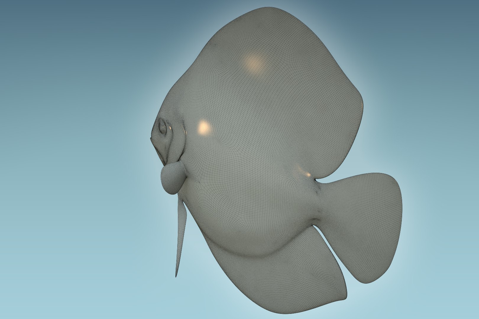3D Discus Fish 9 - TurboSquid 1208922