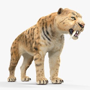 saber tooth tiger fur 3D