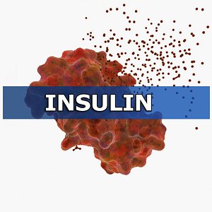 hormone insulin 3d max