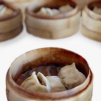 Real Food Wooden Steamer with Gyoza scanned