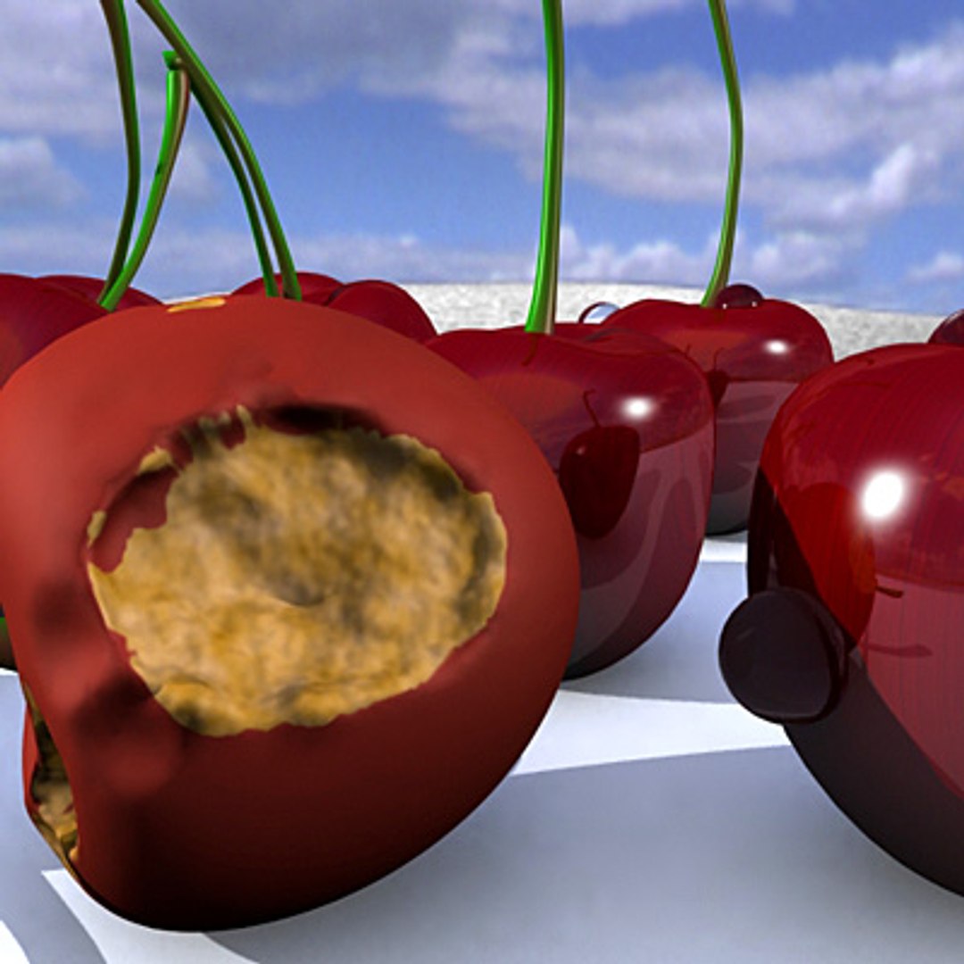 cerezas cherries 3d model https://p.turbosquid.com/ts-thumb/3X/iVwT8J/L1IZtLk2/00001/jpg/1276799900/1920x1080/fit_q87/87aa2533b5ea6123e06310b73990b19db1a2fc46/00001.jpg