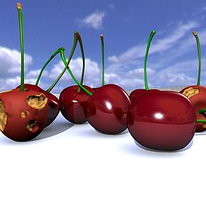 cerezas cherries 3d model