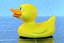canard