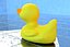 canard