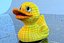 canard
