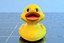 canard